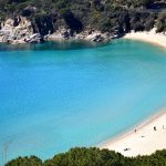 Cavoli