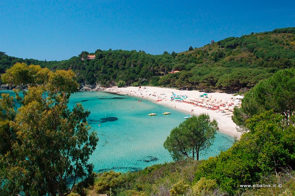 Spiaggia di Fetovaia, Elba